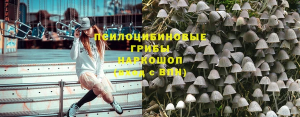 ПСИЛОЦИБИНОВЫЕ ГРИБЫ Сосновый Бор