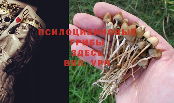 твердый Струнино
