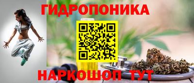 таблы Гатчина
