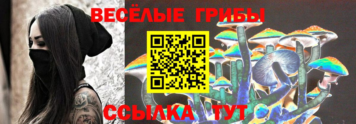 Псилоцибиновые грибы прущие грибы  Вход с VPN  Джанкой 