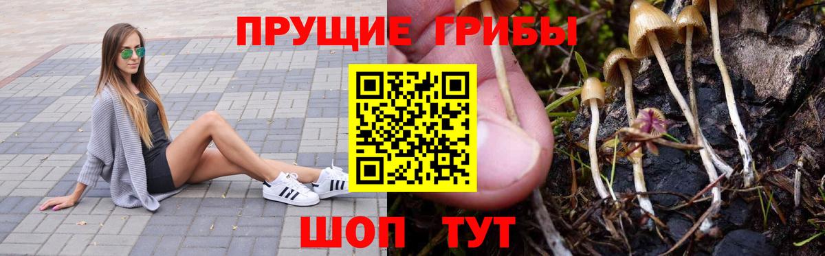 продажа наркотиков  Джанкой  Псилоцибиновые грибы Psilocybine cubensis  Псилоцибиновые грибы Magic Shrooms 