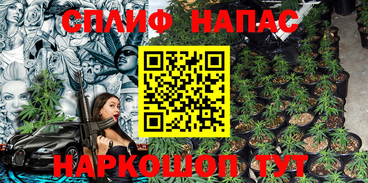 Бошки марихуана VHQ Джанкой